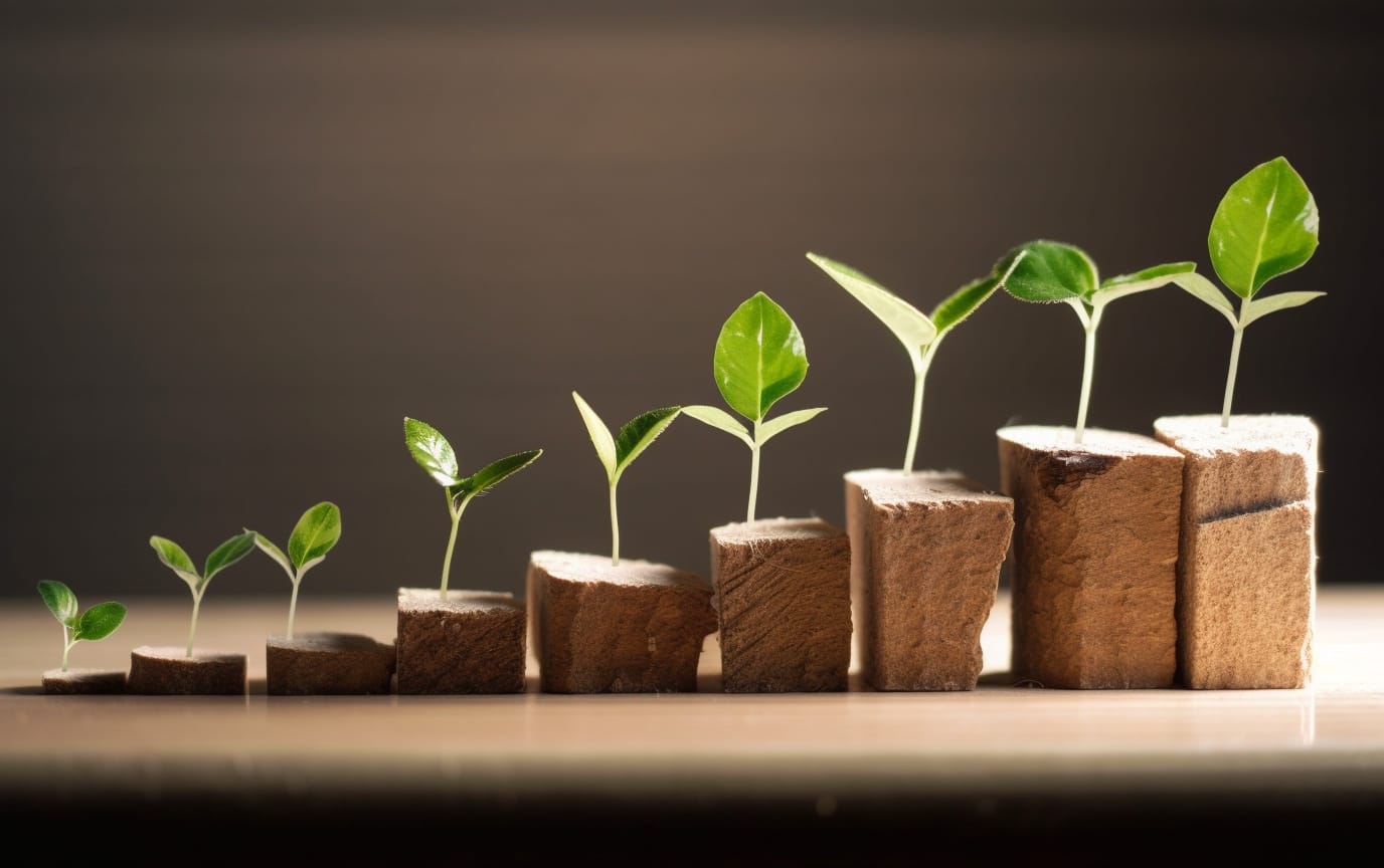 une image qui exprime la croissance et le développement par des plantes de plus en plus grande de gauche à droite
