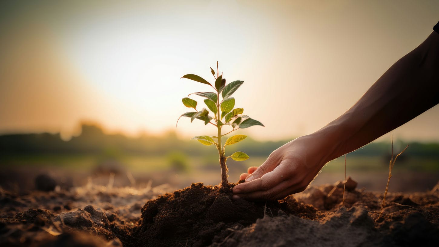 Image d'un homme plantant un arbre représentant l'actualisation de soi